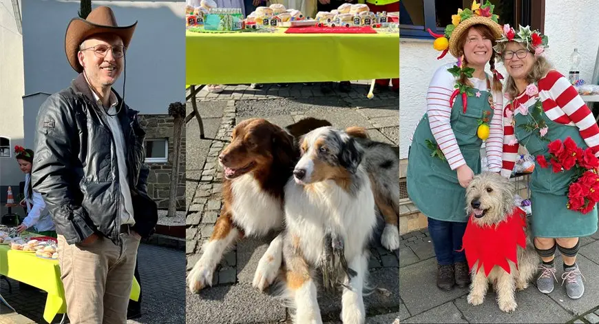 Die Bürohunde feiern mit beim Karnevalsumzug in Alfter